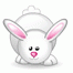 /album/fotogaleria/a224-gif/